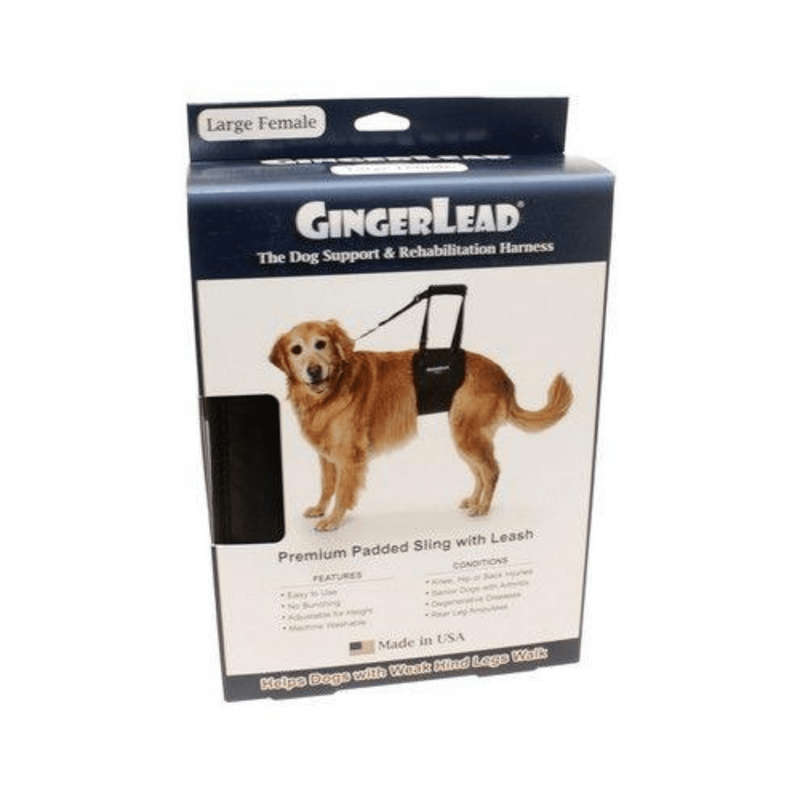 GingerLead Dog Support & Rehabilitation Harnesses - Padded Sling with Leash for Comfort and Control