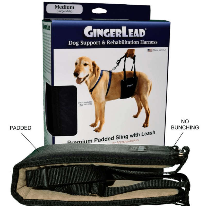GingerLead Dog Support & Rehabilitation Harnesses - Padded Sling with Leash for Comfort and Control