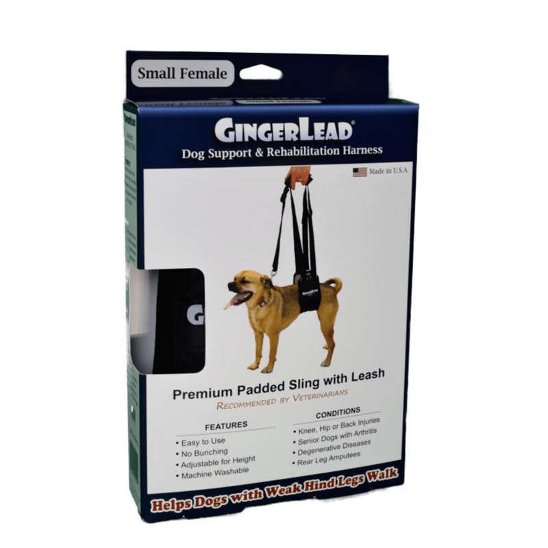 GingerLead Dog Support & Rehabilitation Harnesses - Padded Sling with Leash for Comfort and Control