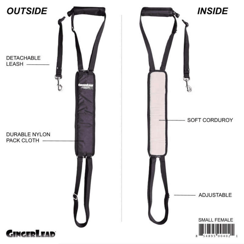 GingerLead Dog Support & Rehabilitation Harnesses - Padded Sling with Leash for Comfort and Control