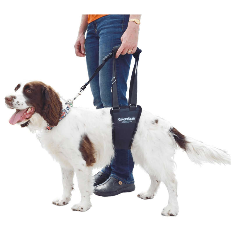 GingerLead Dog Support & Rehabilitation Harnesses - Padded Sling with Leash for Comfort and Control