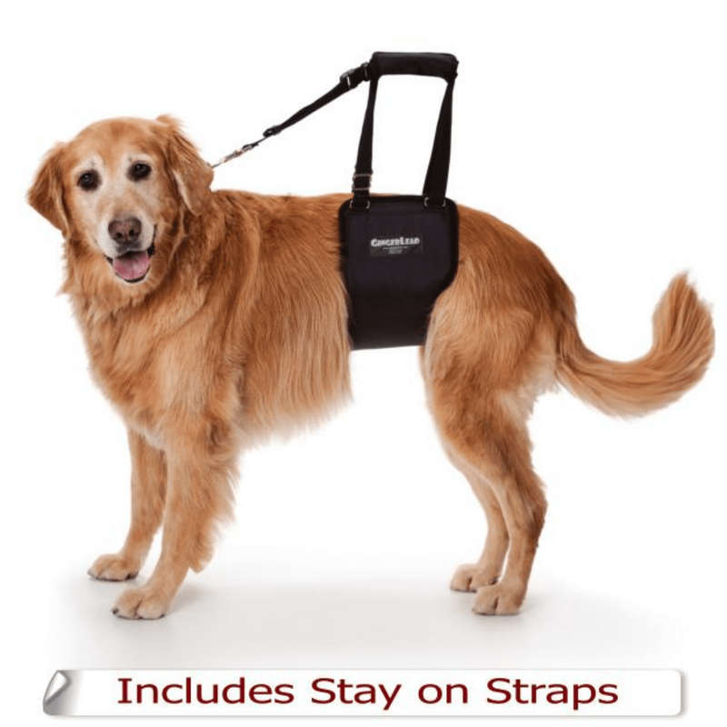 GingerLead Dog Support & Rehabilitation Harnesses - Padded Sling with Leash for Comfort and Control