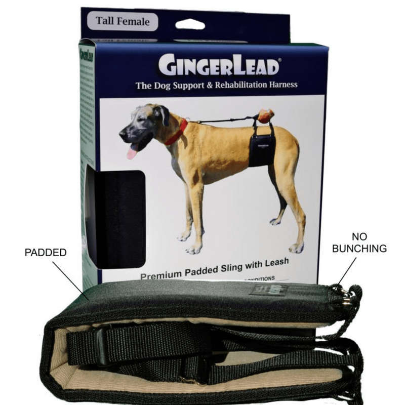 GingerLead Dog Support & Rehabilitation Harnesses - Padded Sling with Leash for Comfort and Control