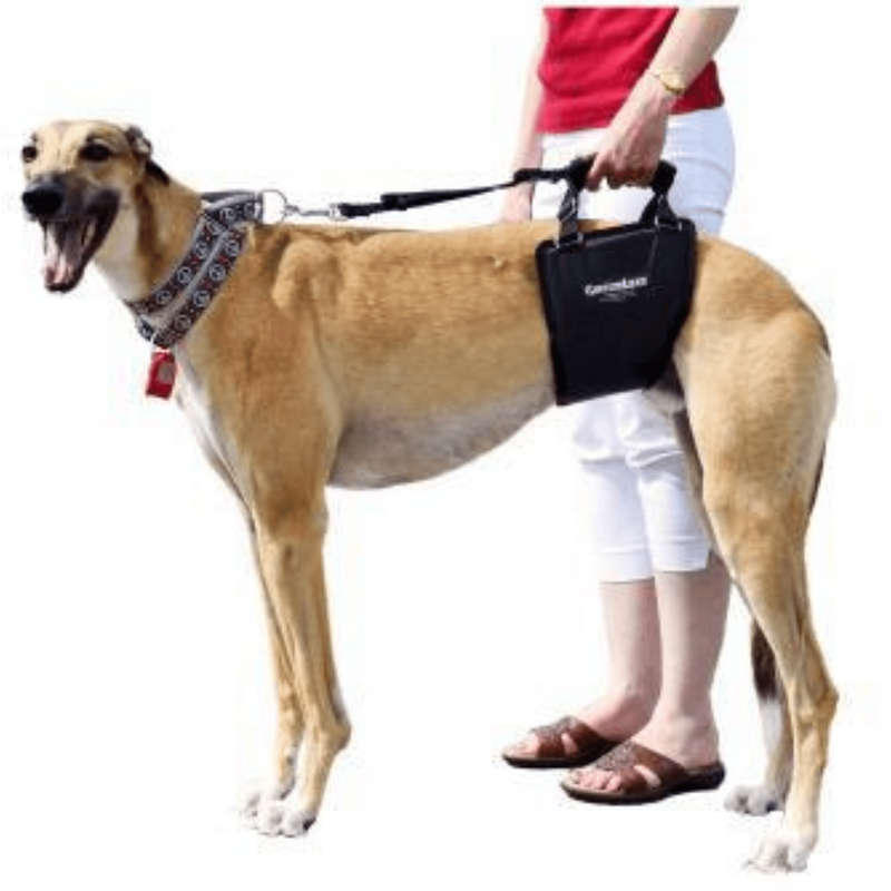 GingerLead Dog Support & Rehabilitation Harnesses - Padded Sling with Leash for Comfort and Control