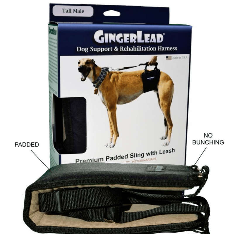 GingerLead Dog Support & Rehabilitation Harnesses - Padded Sling with Leash for Comfort and Control
