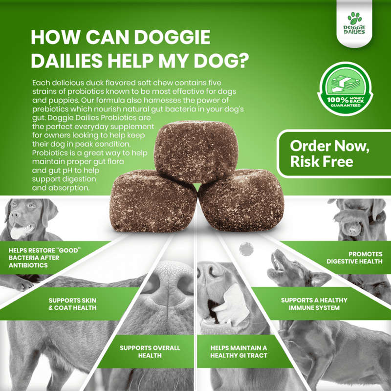 Doggie Dailies - Advanced Probiotics Supplement for Dogs