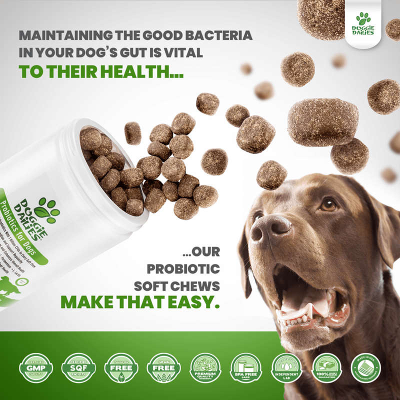 Doggie Dailies - Advanced Probiotics Supplement for Dogs