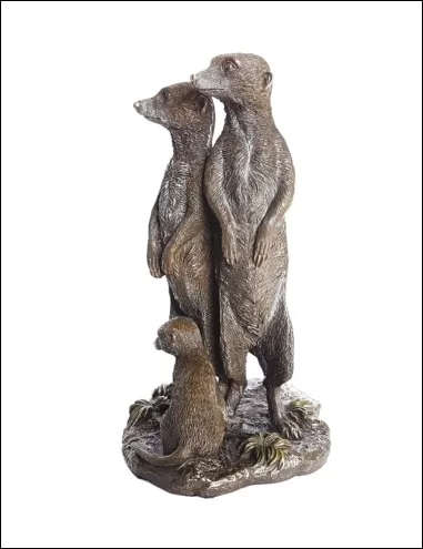 Meerkat Family