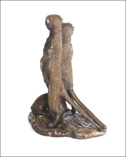 Meerkat Family