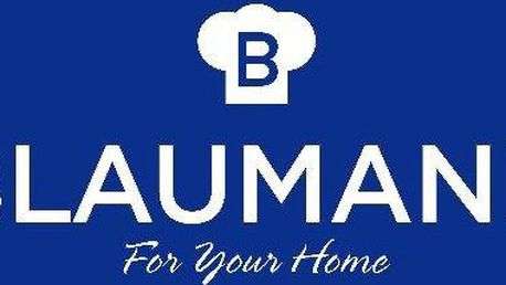 Image result for BLAUMANN LOGO