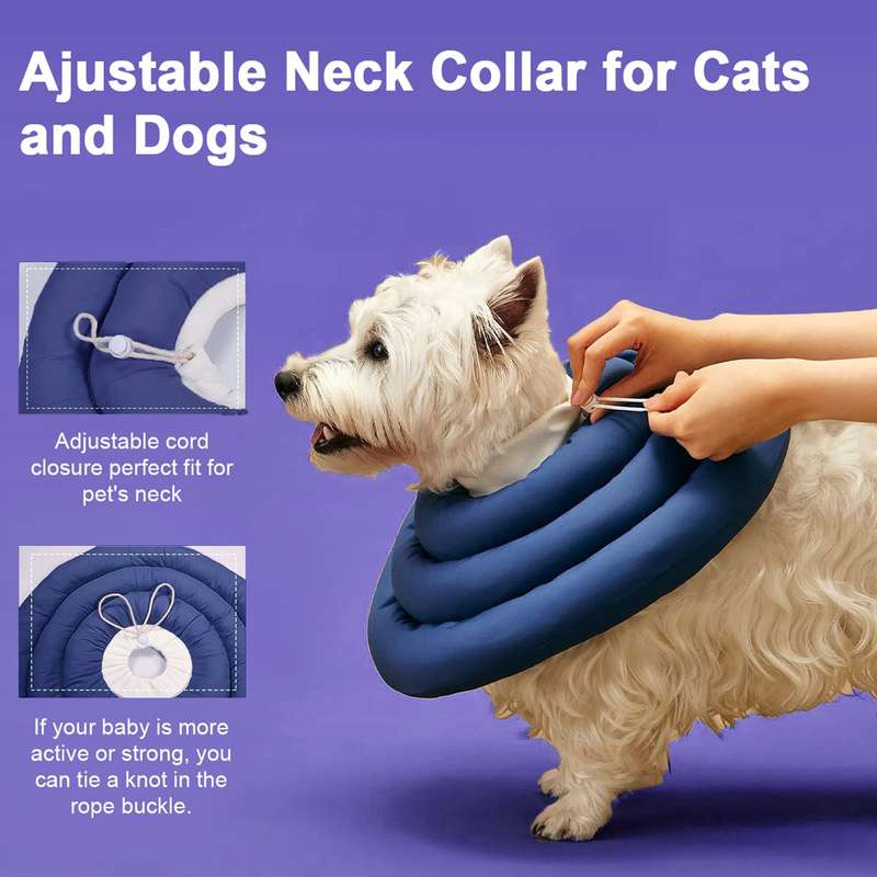 Pet surgical collar store