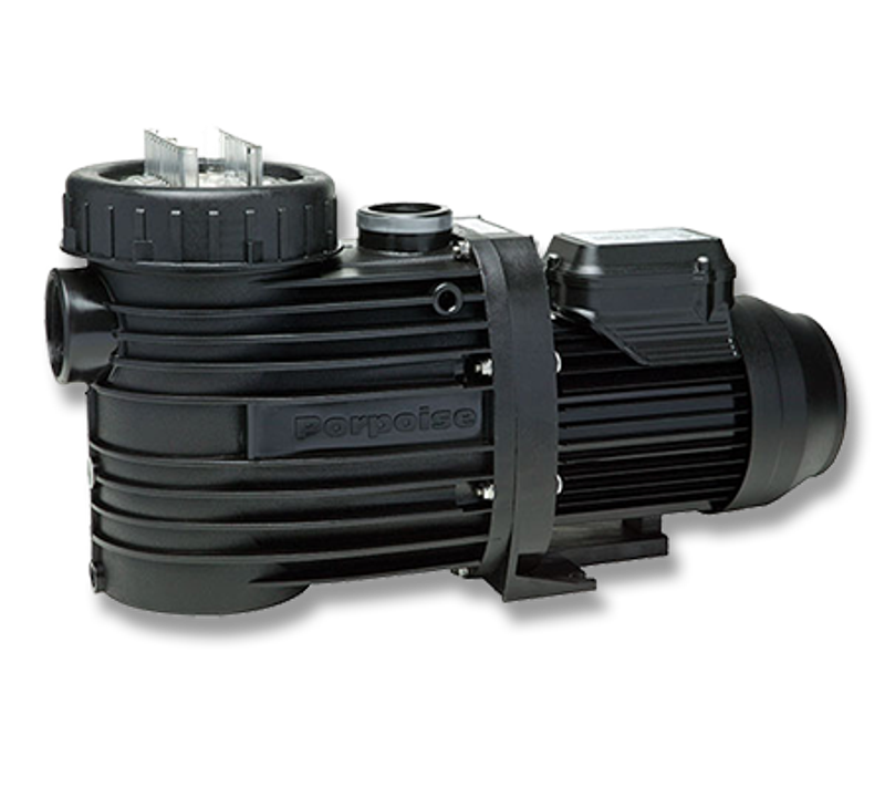 Pool Equipment & Parts - POOL PUMP AND MOTOR 0.75kw SPECK BADU ...