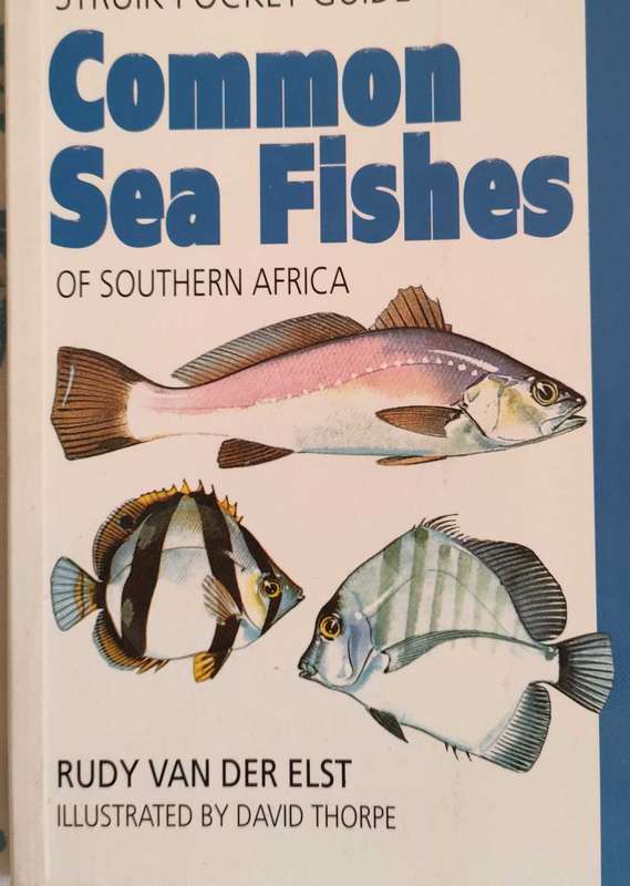 Common Sea Fishes