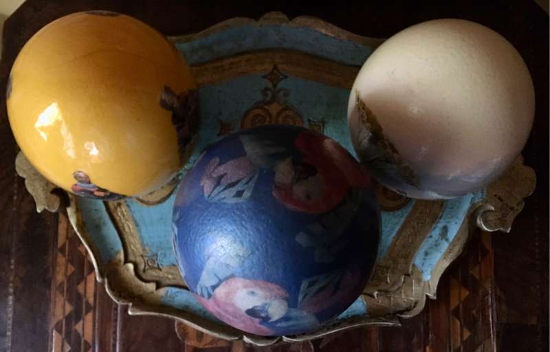Painted ostrich eggs