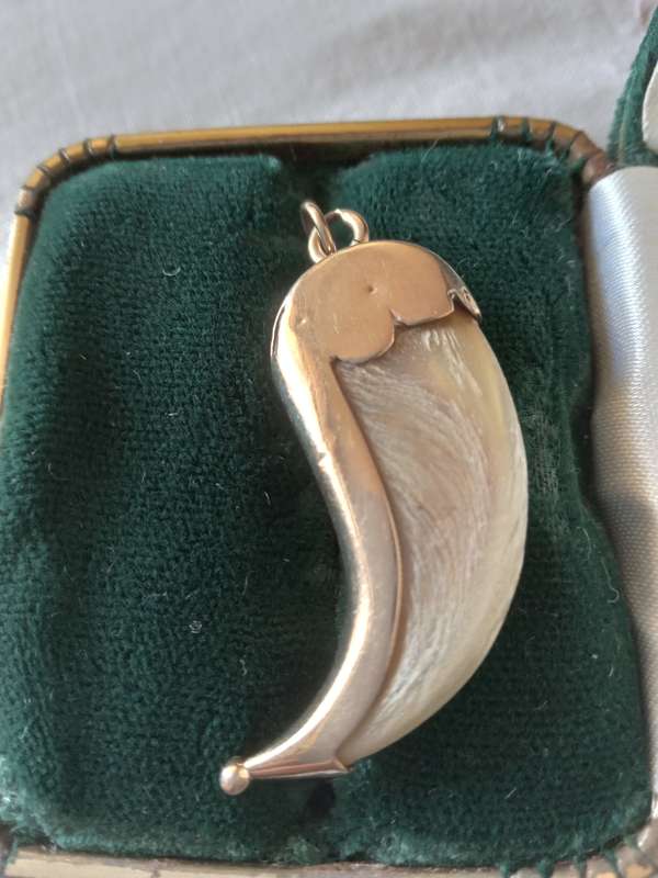 Vintage 9ct Gold And Tiger`s Claw Pendant