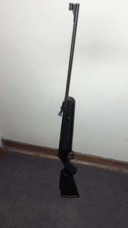 Pellet gun