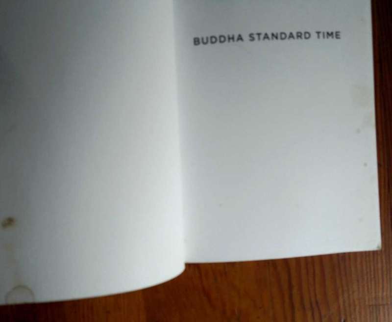 Buddha Standard Time - Awakening to the Infinite Possibilities of Now by Lama Surya Das