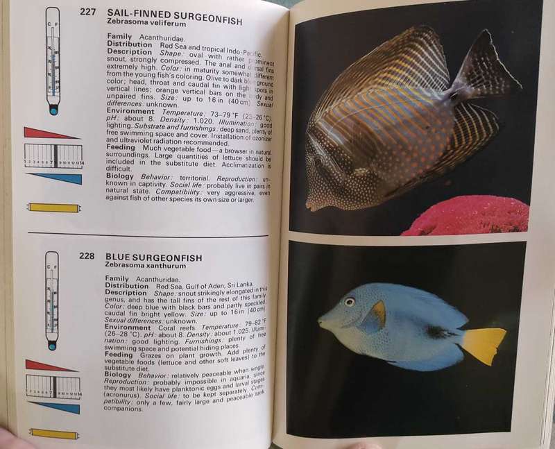 Freshwater and Marine Aquarium Fishes