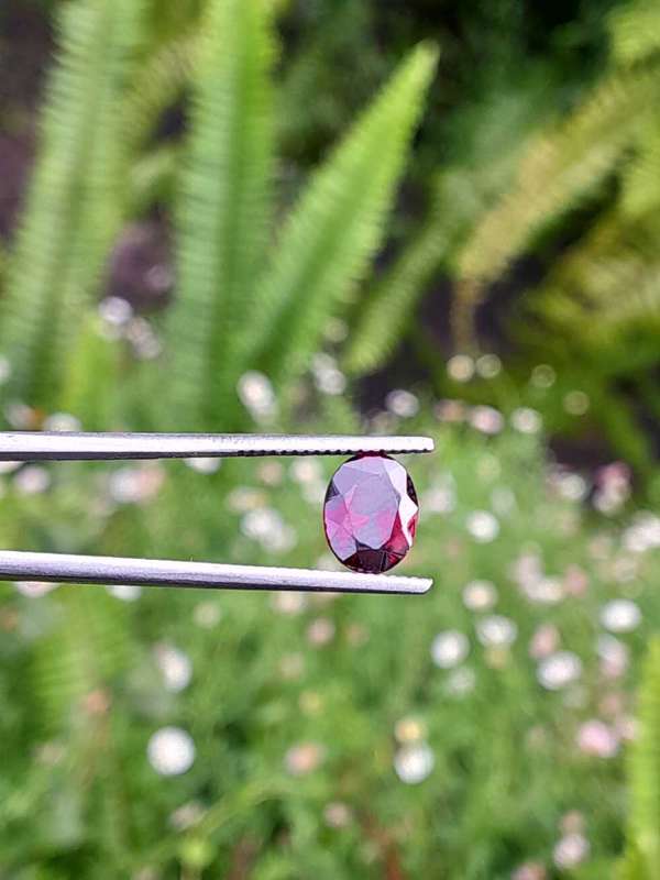 Natural 1.04 Ct Red Garnet
