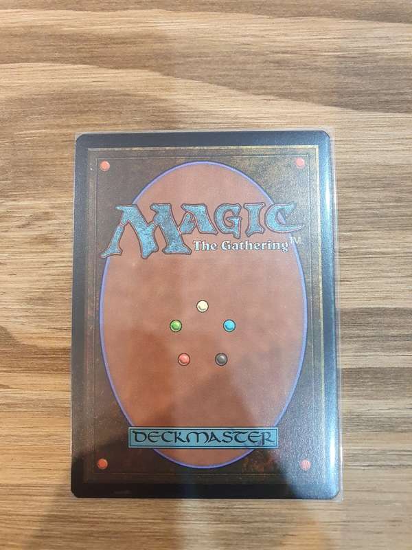 Magic the Gathering - NEO - Tamiyo`s Safekeeping