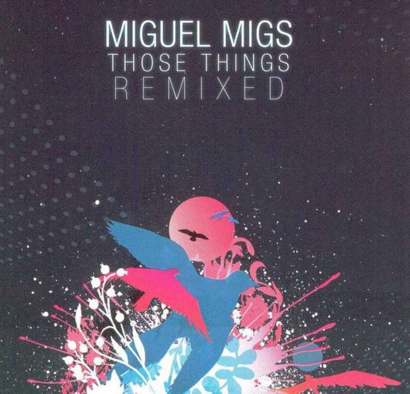 Those Things (Remixed) (2007, CD)