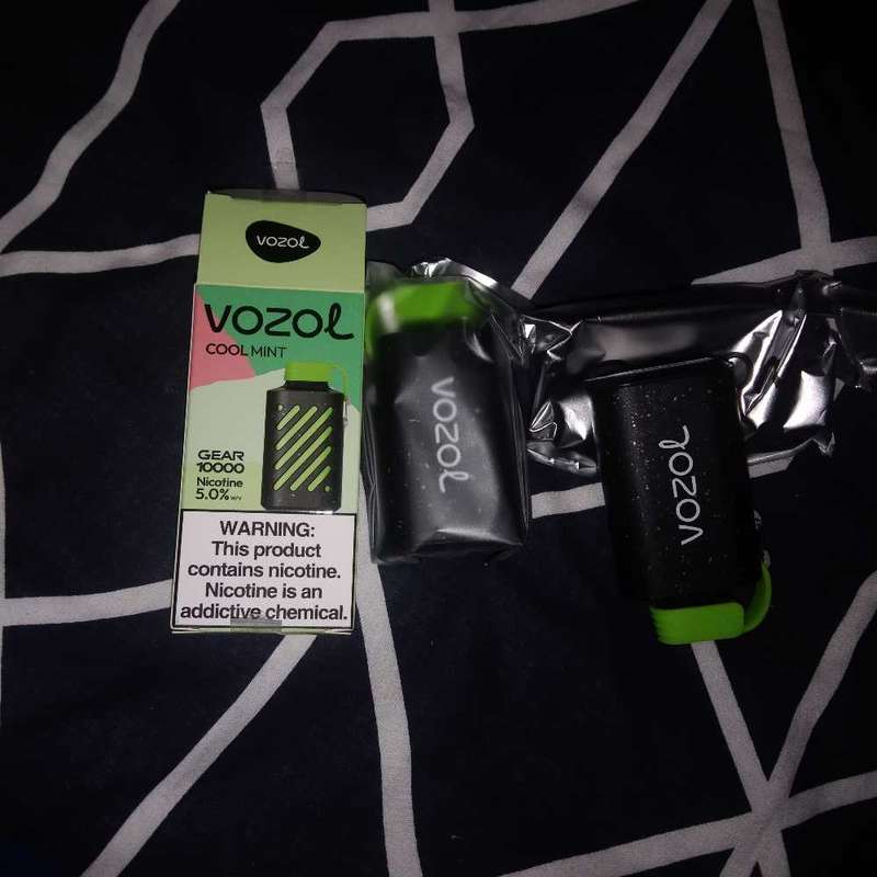 Vozol Vape Cool Mint Flavor