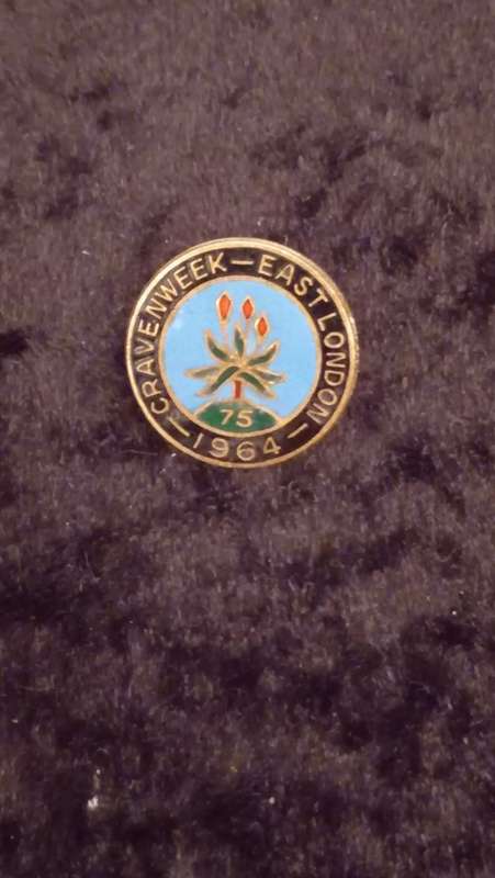 Vintage South African Rugby badges brooches lapel pin and New Zealand Fern brooch