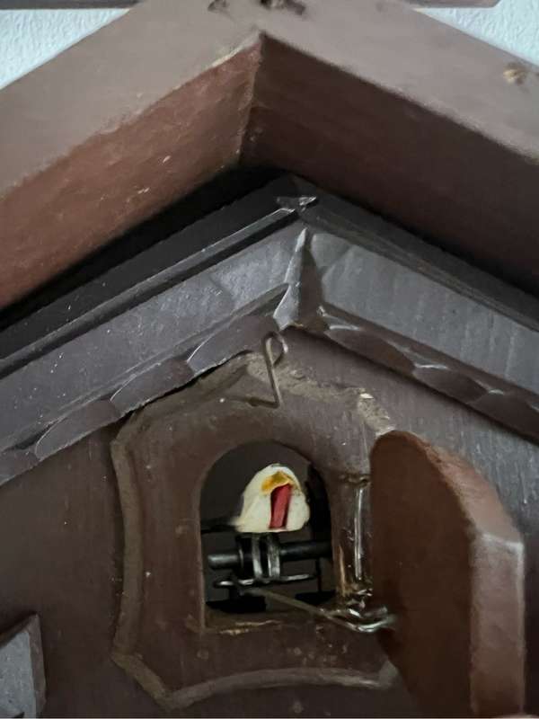 Cuckoo Clock (8day)