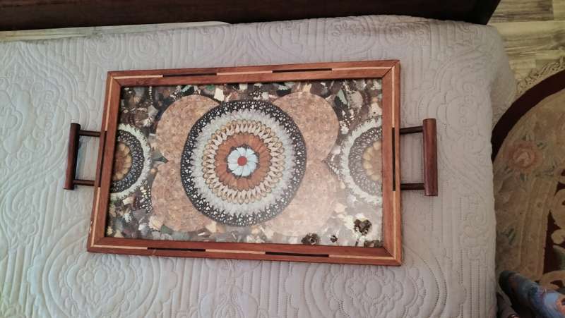 Beautiful Brazilian Butterfly Tray C 1940