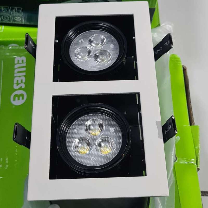 Ellies Downlights with holders