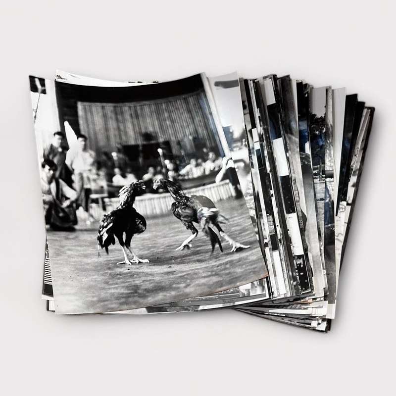 105 Large Vintage B&W Photographs / Prints circa 1960s
