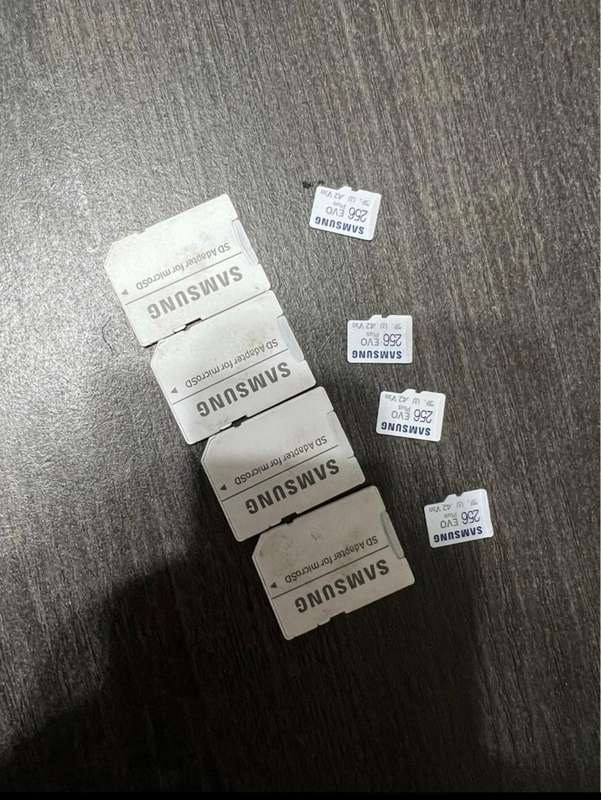 256GB Samsung EVO SD Cards