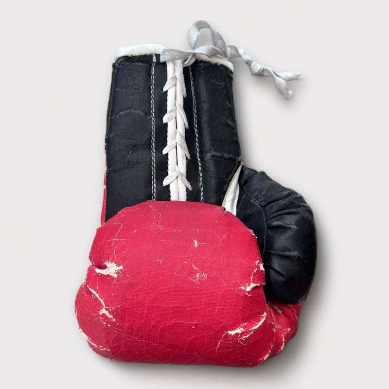 Vintage Autographed Boxing Gloves (Includes Jacob `Baby Jake` Matlala)