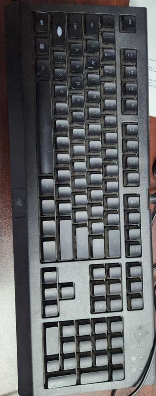 RAZERM CYNOSA LITE