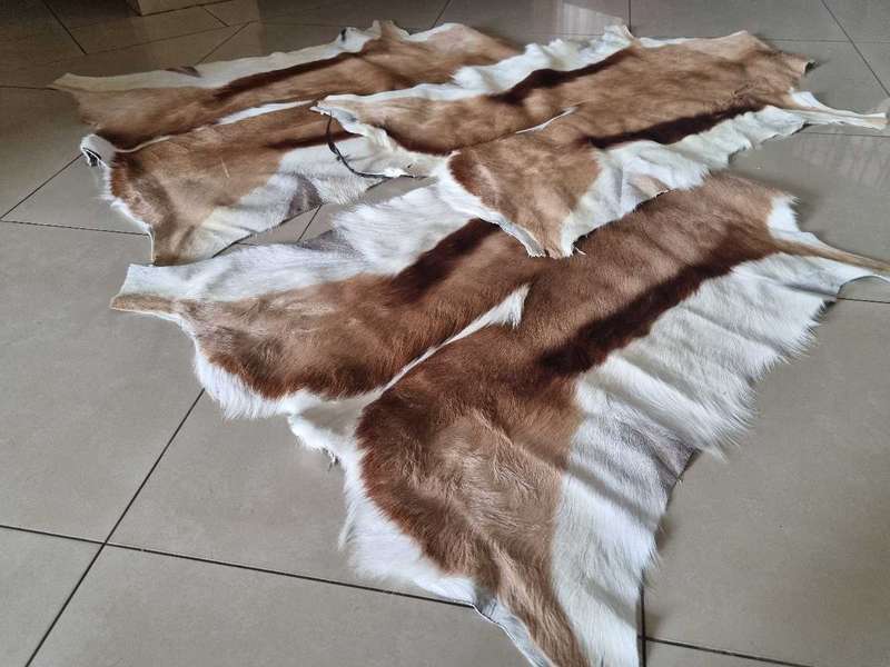 Genuine Springbok hide skin
