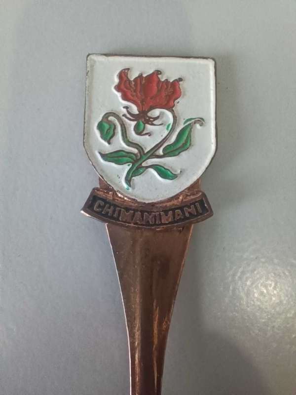 Chimanimani spoon