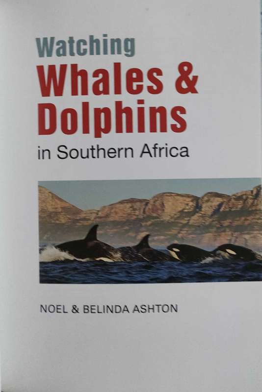 Whales and Dolphins