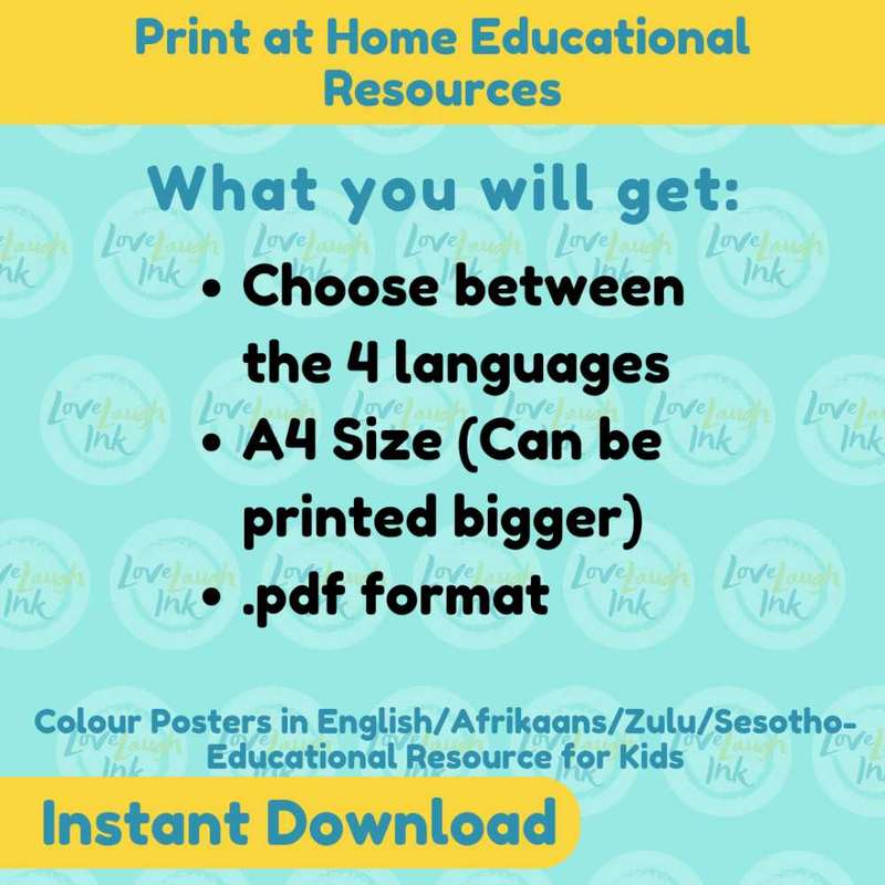 Educational Colour Names Poster - Eng/Afr/Zulu/Sesotho