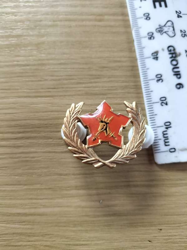 SADF 5 Year Voluntary Service Badge