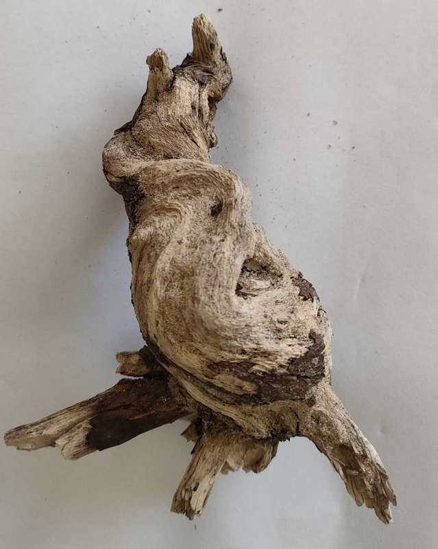 Driftwood