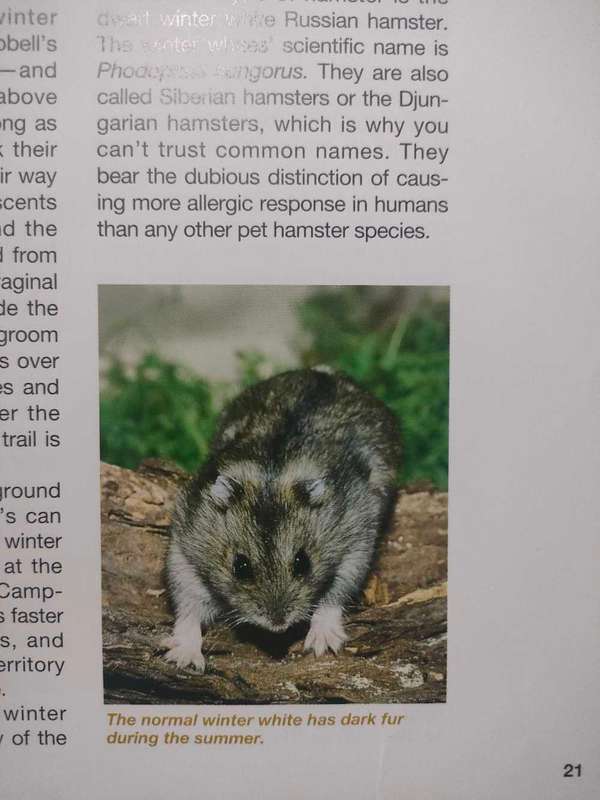 Tha Hamster Handbook