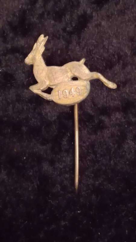 Vintage South African Rugby badges brooches lapel pin and New Zealand Fern brooch