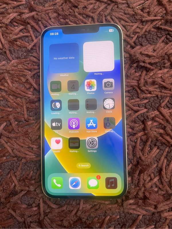 Iphone 12 pro max