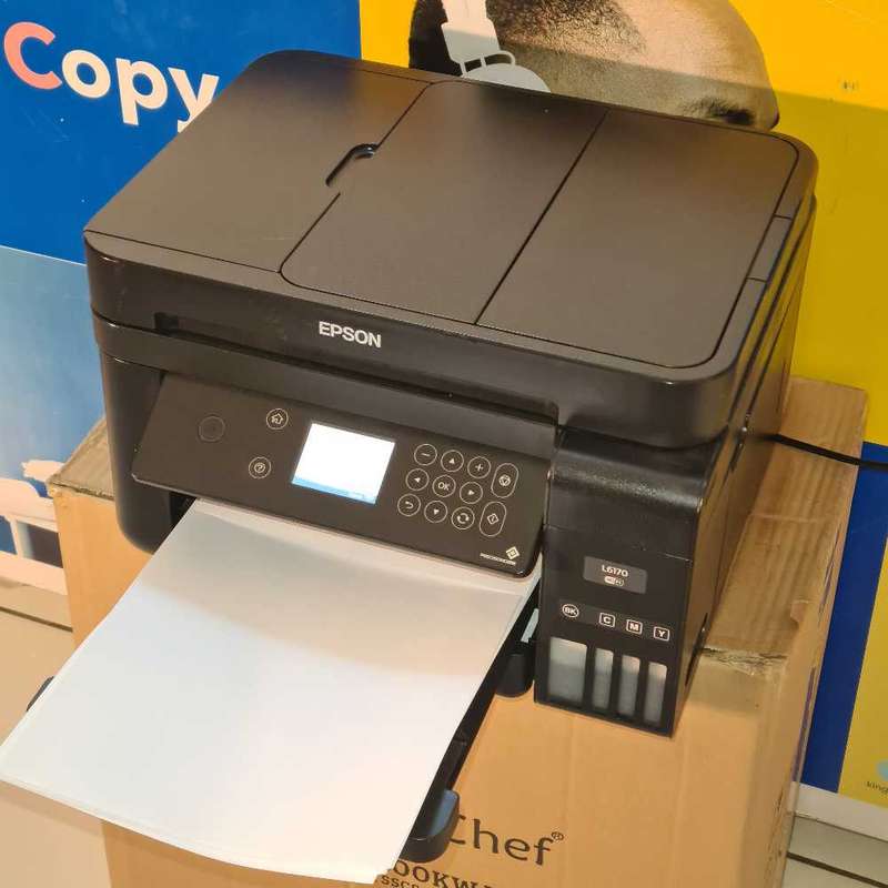 Epson L6170 ecotank printer (needs attention)
