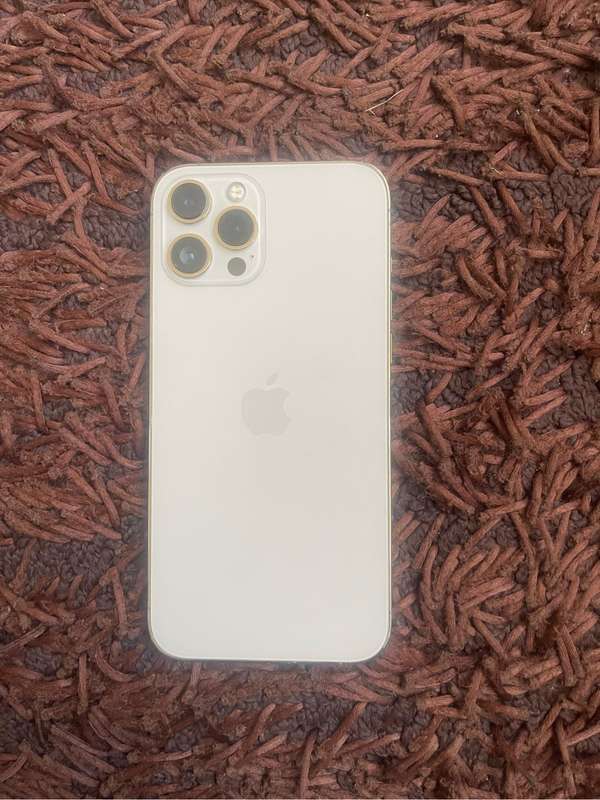 Iphone 12 pro max
