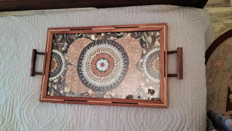 Beautiful Brazilian Butterfly Tray C 1940