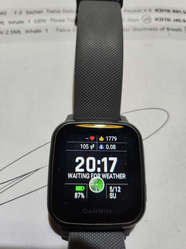 Garmin Venue SQ