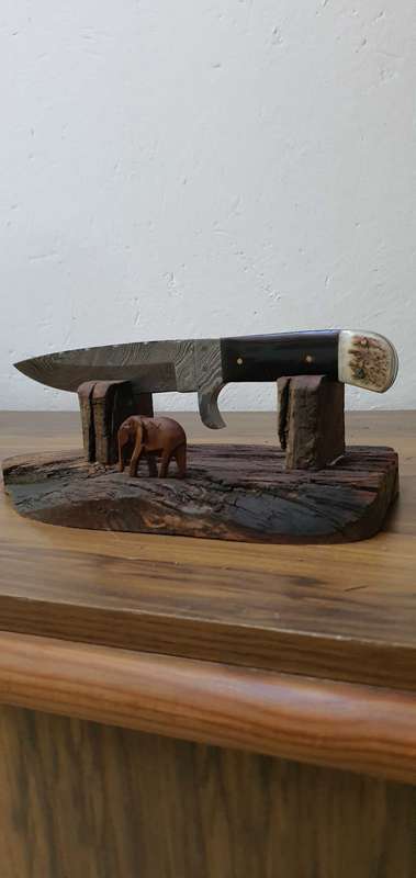 Beautiful Demascus display Knife with display and sheath