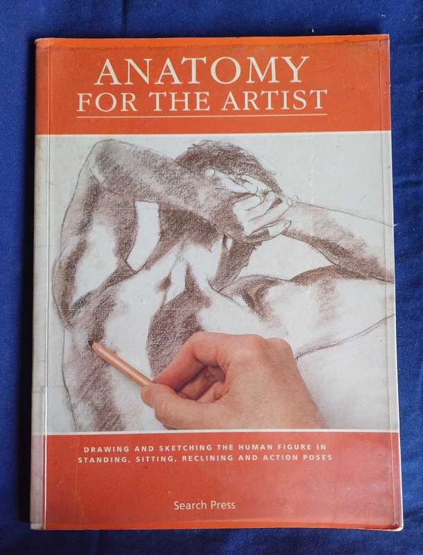 Anatomy for the artist