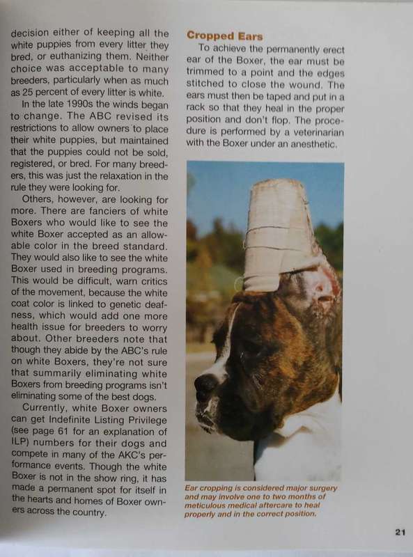 The Boxer Handbook